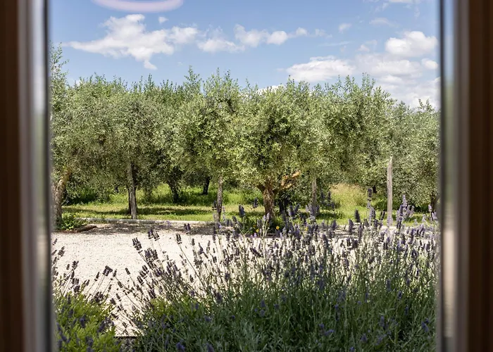 TENUTA FOGLIANI Resort&Natural Spa